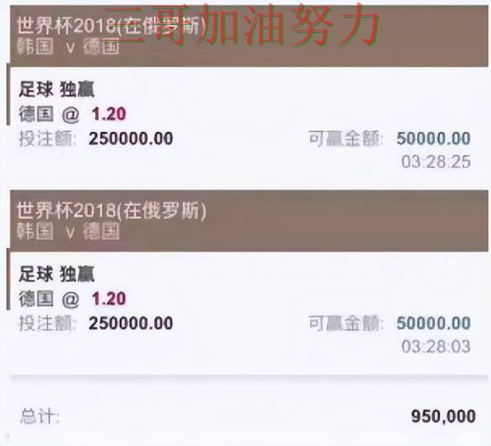 世界杯投注平台推荐合集：覆盖玩法指南+直播与入口方式 - 世界杯官方信息